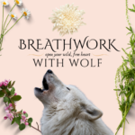 Trusting Our Intuition: The Power of Breathwork with the Spirit of the Wolf